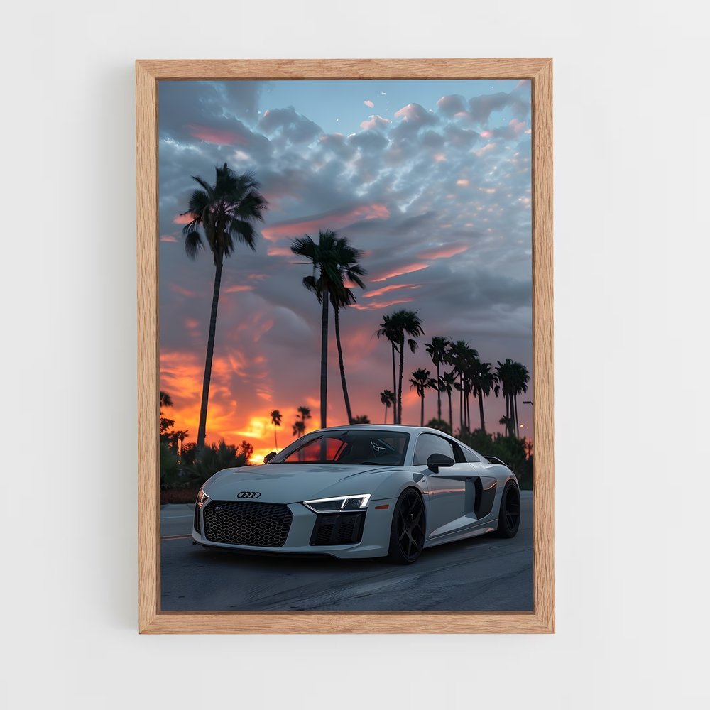 Poster Audi Paradise (vue 4)